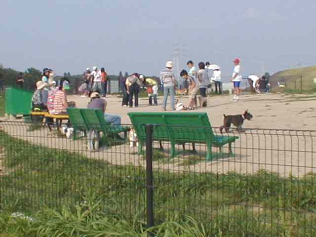 ドッグランｉｎ庄内緑地公園 犬のお散歩