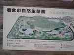 iwakura_sizen12.jpg